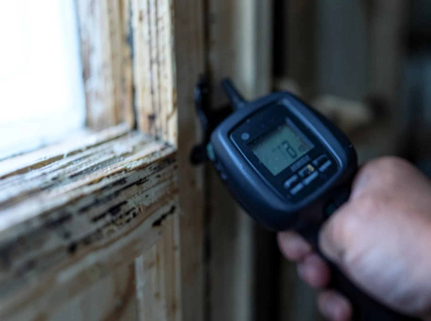 Water Damage Restoration Mentor, MN FAQs